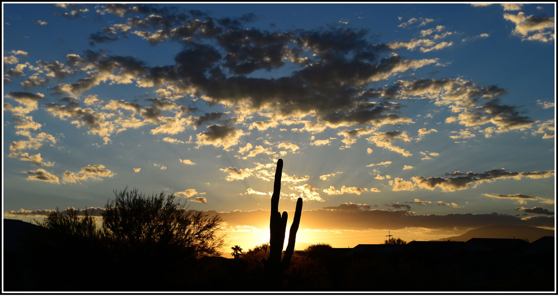 Dawn, First Light in Tucson